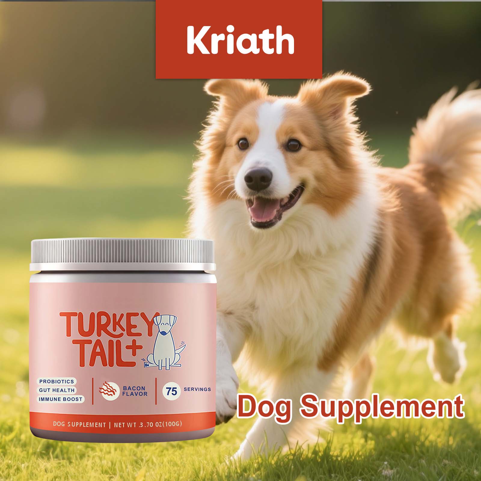 Health Wellness Vitality - Poudre Probiotique Canine Soutien Santé Intestinale