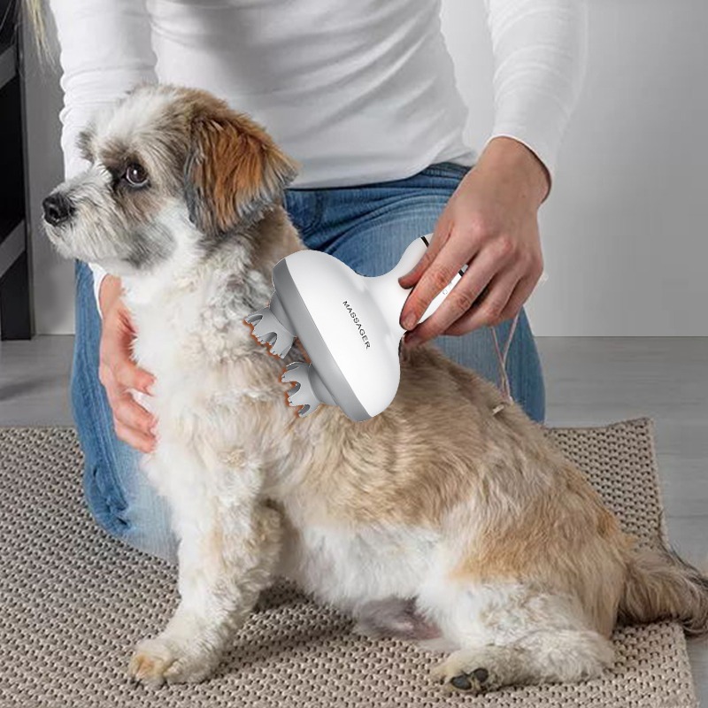 Masseur Électrique Sans Fil Ét - Scalp Massager Electric avis et prix