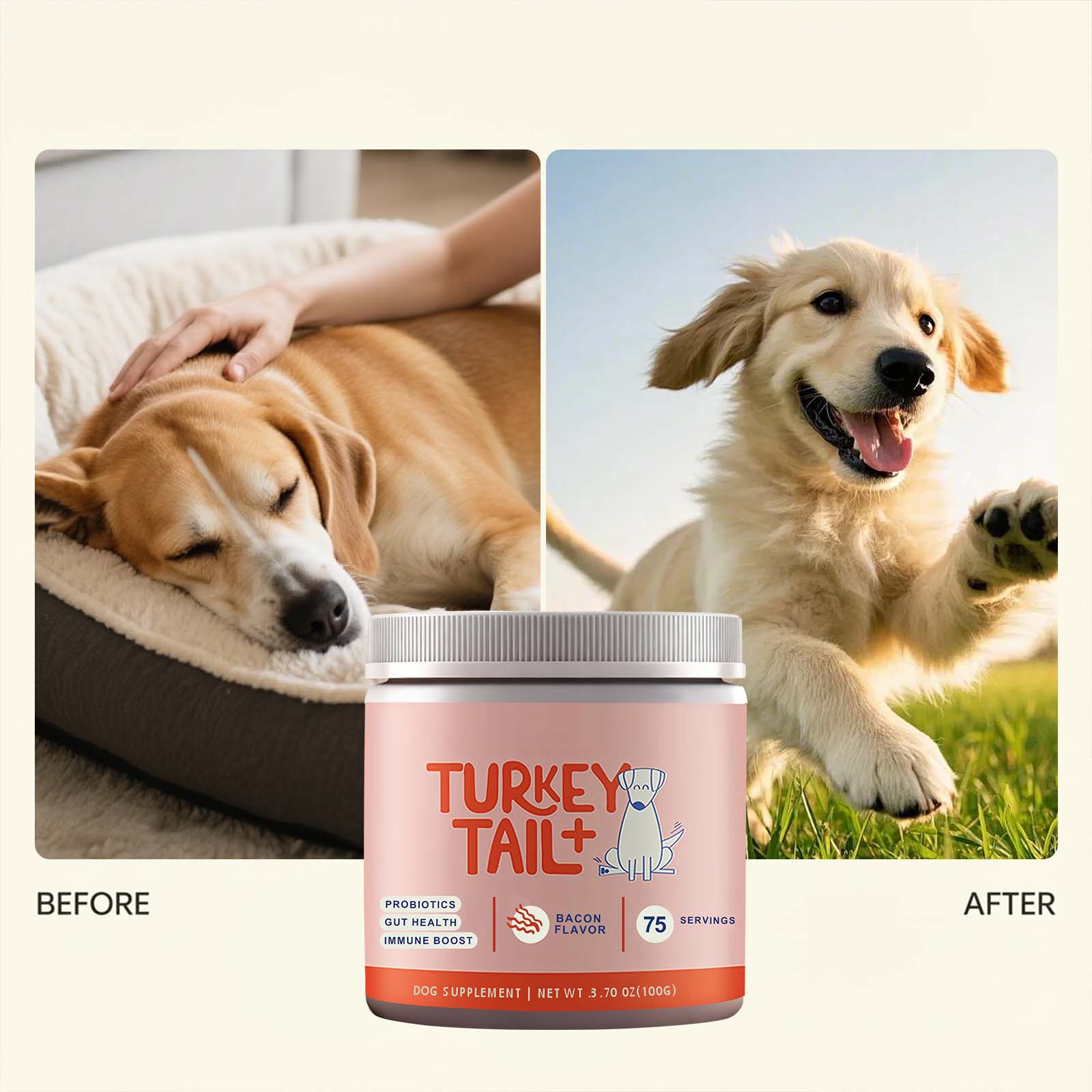 Poudre Probiotique Canine Sout - Health Wellness Vitality avis et prix