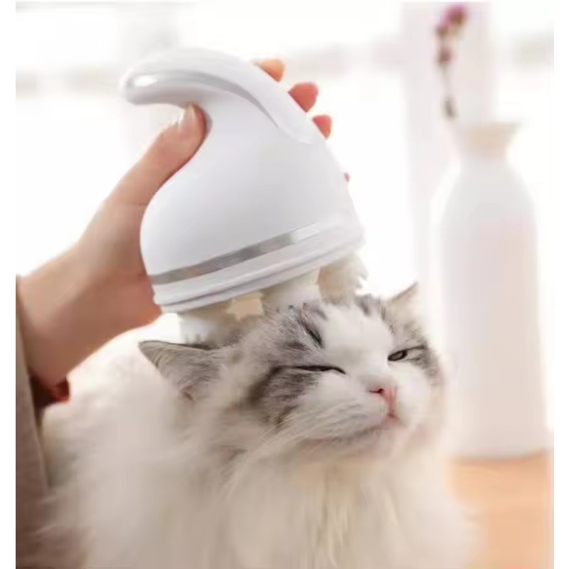 Masseur de tête et de visage p - Scalp Massager Electric avis et prix